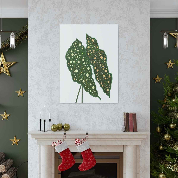 Begonia Maculata Canvas | Premium Canvas Art Print - Matte Finish, Durable Wall Decor
