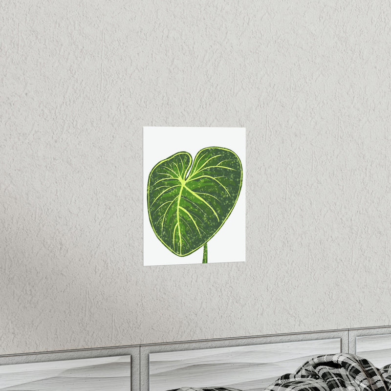 Philodendron Gloriosum Print