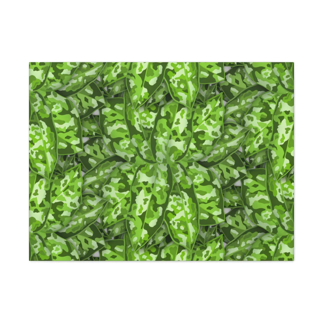 Aglaonema Pictum Canvas - Rare Camouflage Leaf Print Canvas Art Print
