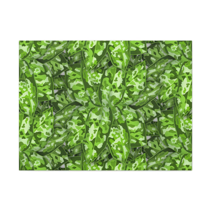 Aglaonema Pictum Canvas - Rare Camouflage Leaf Print Canvas Art Print