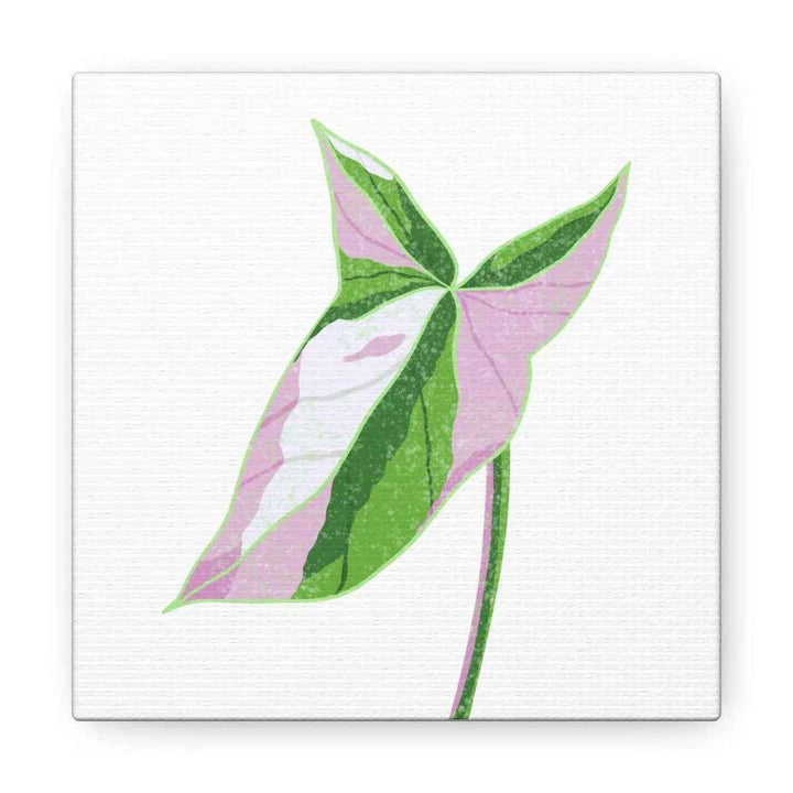 Syngonium Tricolor Canvas | Botanical Canvas Art Print With Matte Finish