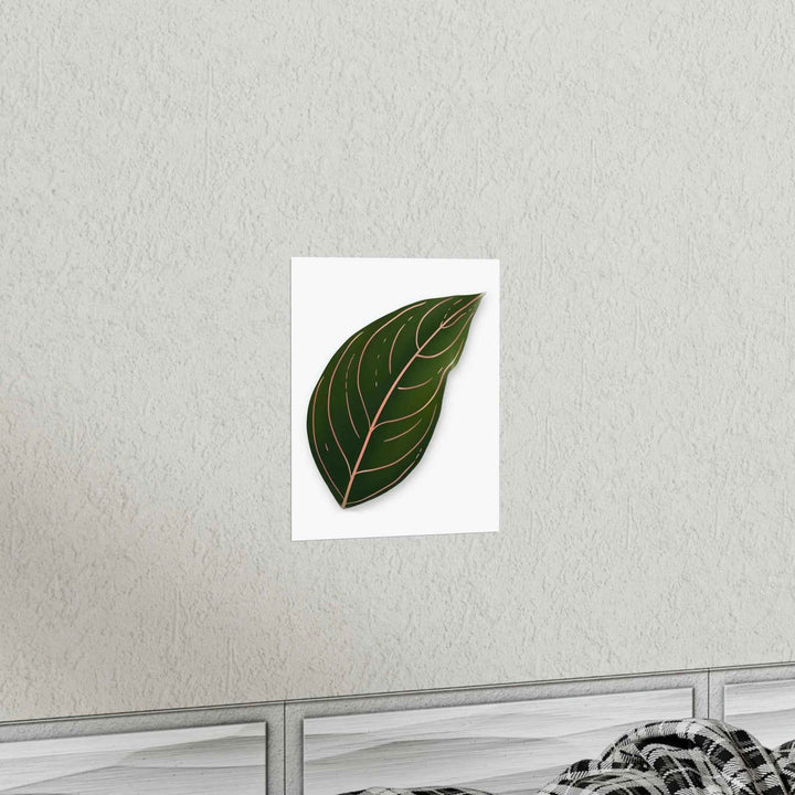 POS Aglaonema Rotundum Print