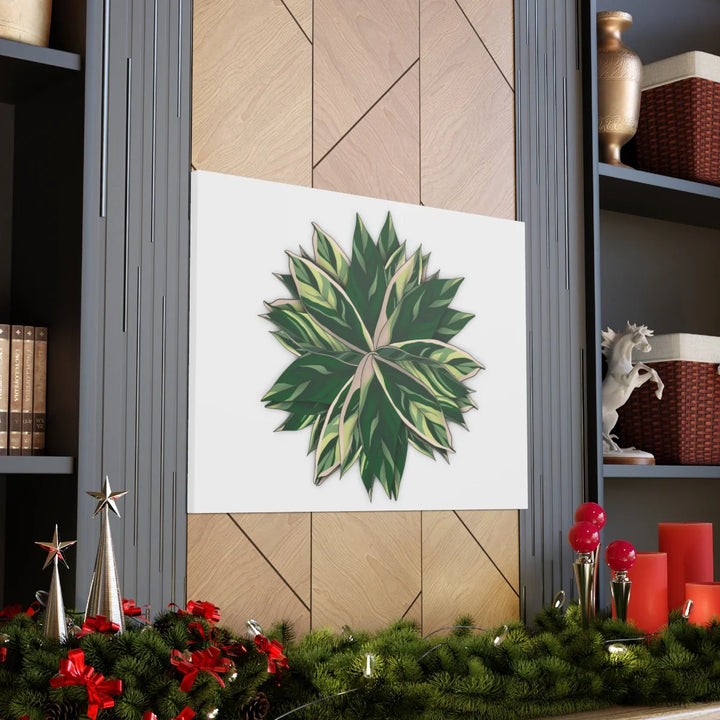 Stromanthe Triostar Canvas - Pastel Stripe Canvas Art Print With Vivid Color Artwork - Laura Christine Photography & Design