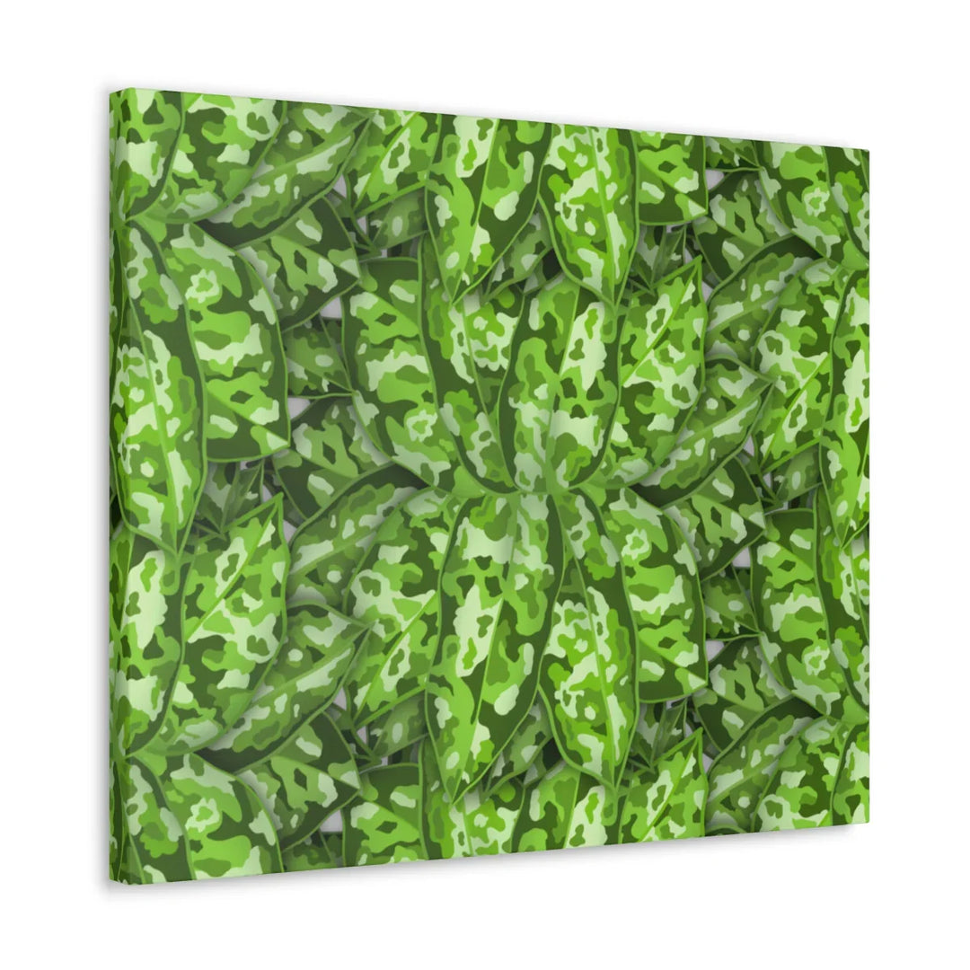 Aglaonema Pictum Canvas - Rare Camouflage Leaf Print Canvas Art Print