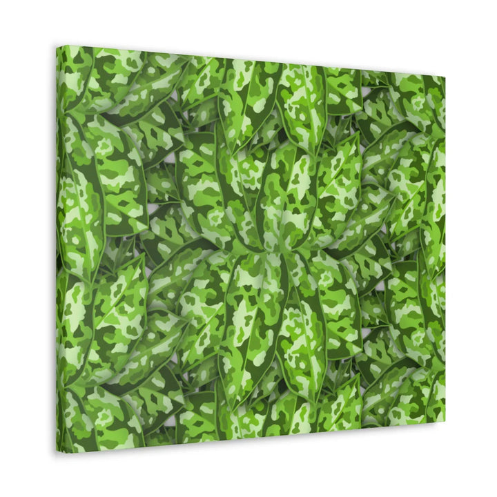 Aglaonema Pictum Canvas - Rare Camouflage Leaf Print Canvas Art Print