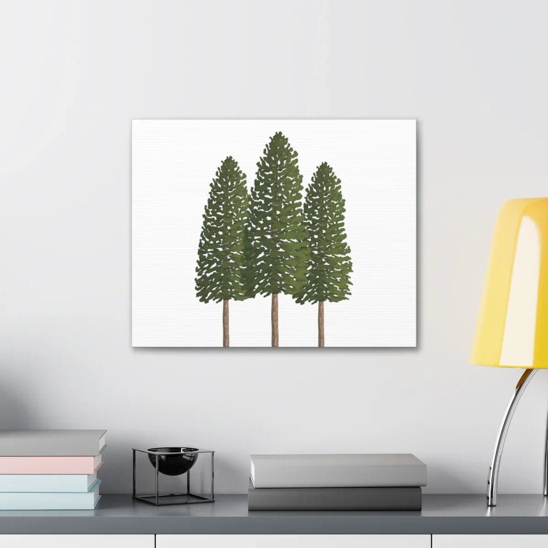 Ponderosa Pine Canvas - Large Stretched Cotton Canvas Art Print With Matte Finish