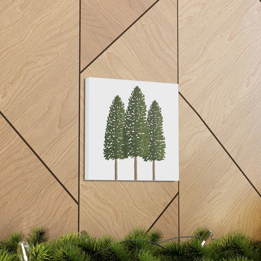 Ponderosa Pine Canvas - Large Stretched Cotton Canvas Art Print With Matte Finish