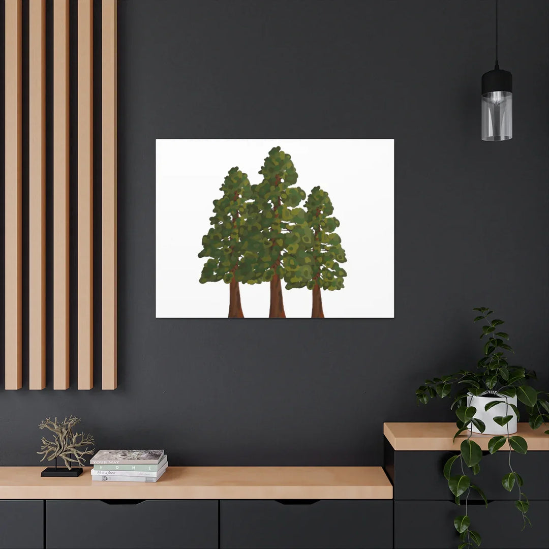 Coastal Redwoods Canvas - Stretched Cotton Canvas Art Print | Matte Finish Wall Hanging Artwork