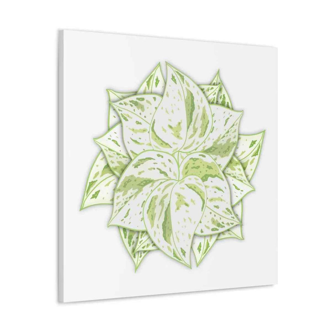Snow Queen Pothos Canvas – Variegated Leaf Canvas Art Print | Durable Cotton