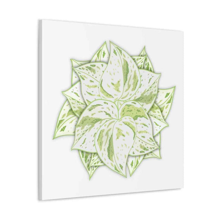 Snow Queen Pothos Canvas – Variegated Leaf Canvas Art Print | Durable Cotton