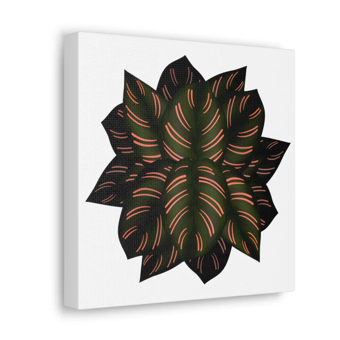Calathea Pinstripe Canvas – Botanical Canvas Art Print | Matte Finish Wall Decor