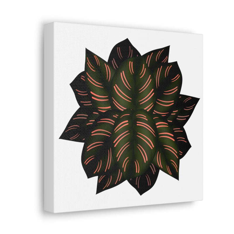 Calathea Pinstripe Canvas