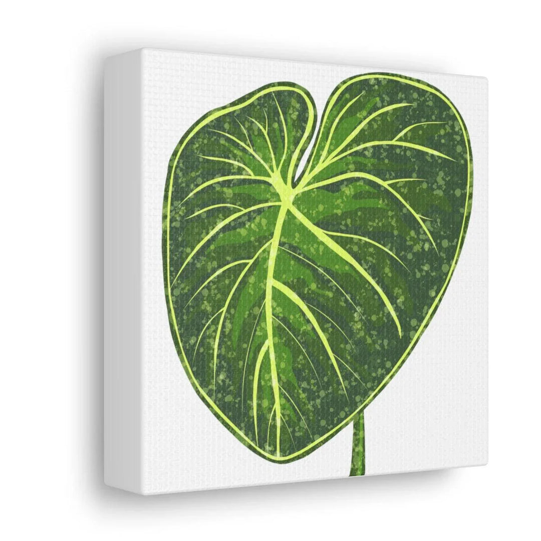 Philodendron Gloriosum Canvas - Stretched Canvas Art Print | Matte Indoor Wall Art - Laura Christine Photography & Design