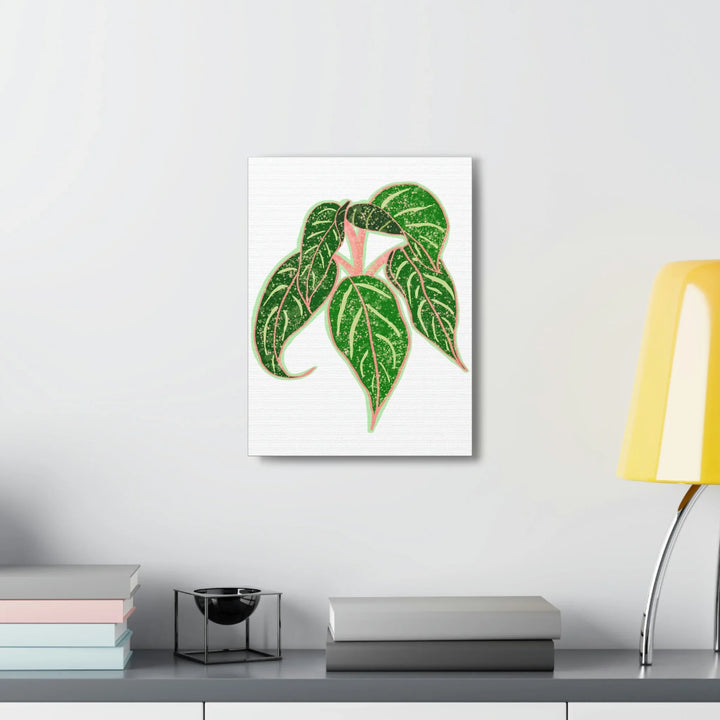 Aglaonema Plant Canvas | Sparkling Plant Artwork - Colorfast Canvas Art Print Decor