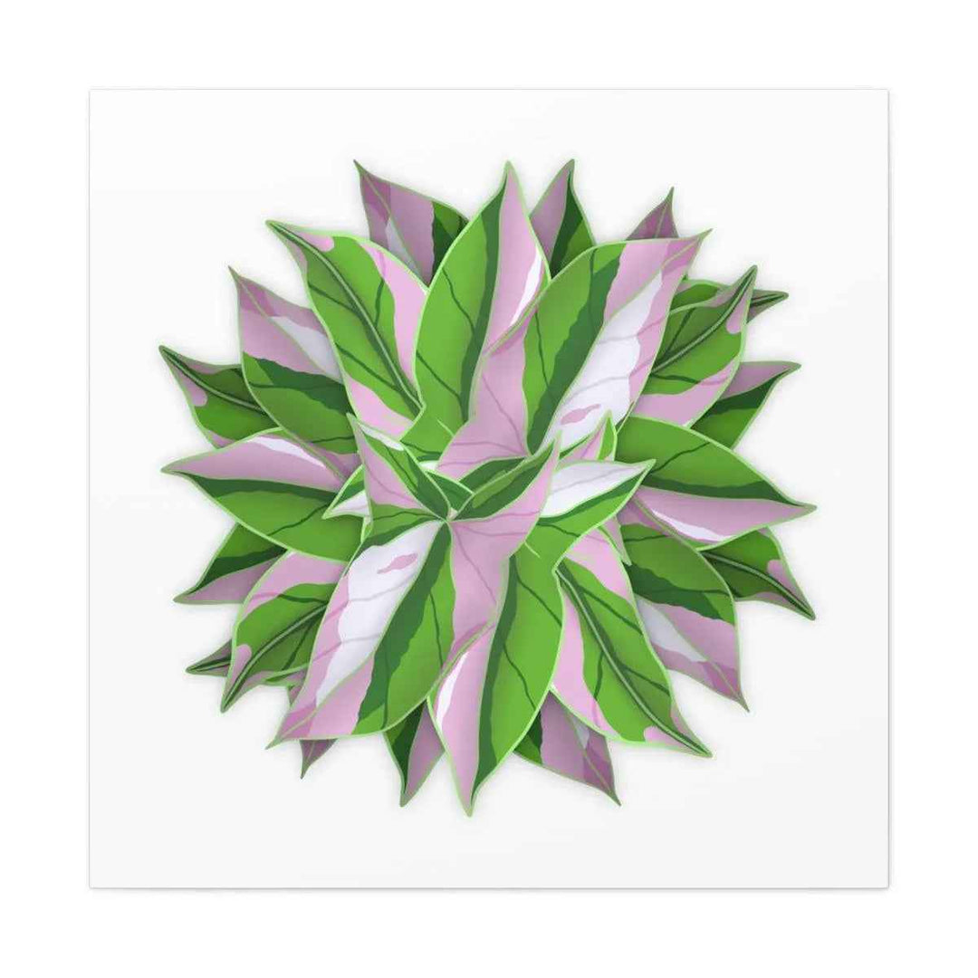 Tricolor Syngonium Canvas - Durable Canvas Art Print With Matte Finish & Botanical Design