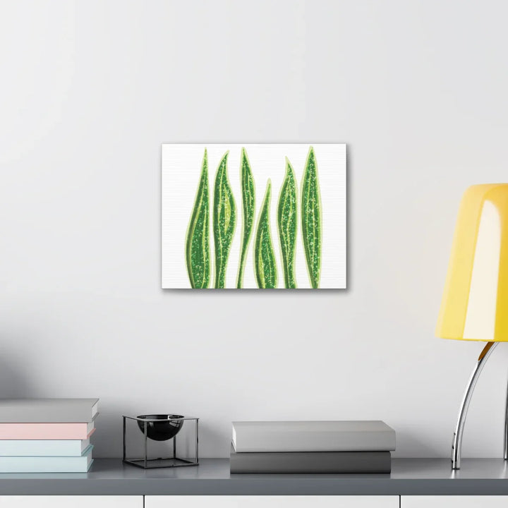 Snake Plant Canvas | Botanical Canvas Decor - Matte Finish Artwork for Living Room - Laura Christine Photography & Design