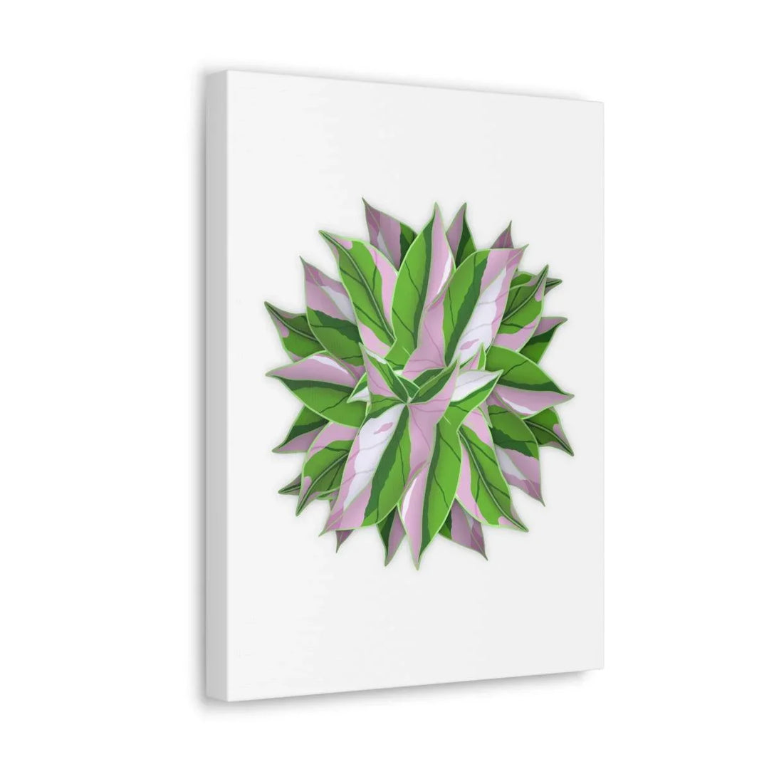 Tricolor Syngonium Canvas - Durable Canvas Art Print With Matte Finish & Botanical Design - Laura Christine Photography & Design