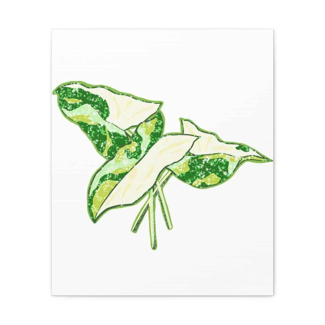 Marble Syngonium Canvas - Botanical Canvas Art Print | Durable Cotton Matte Finish