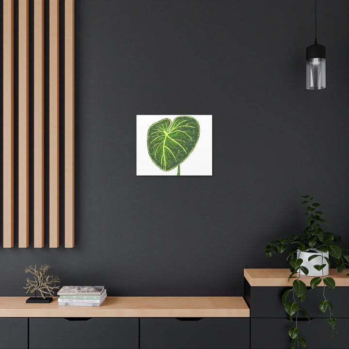 Philodendron Gloriosum Canvas - Stretched Canvas Art Print | Matte Indoor Wall Art - Laura Christine Photography & Design