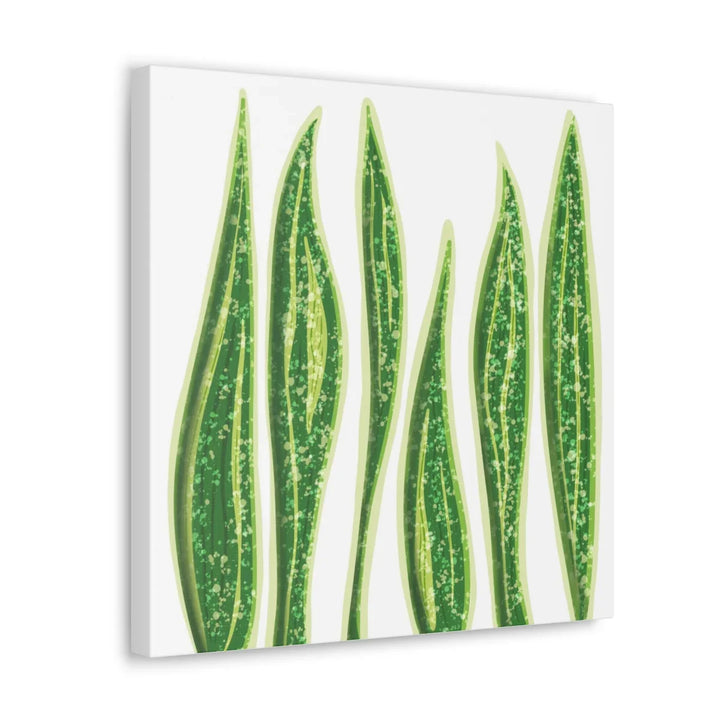 Snake Plant Canvas | Botanical Canvas Decor - Matte Finish Artwork for Living Room - Laura Christine Photography & Design