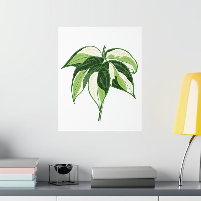 Philodendron &