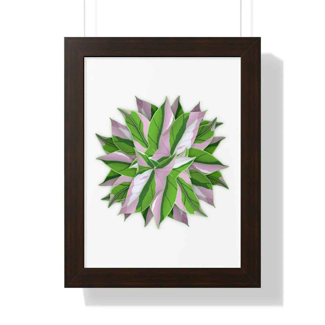 Syngonium Tricolor Print - Framed Botanical Art With Matte Finish & Acrylic Cover