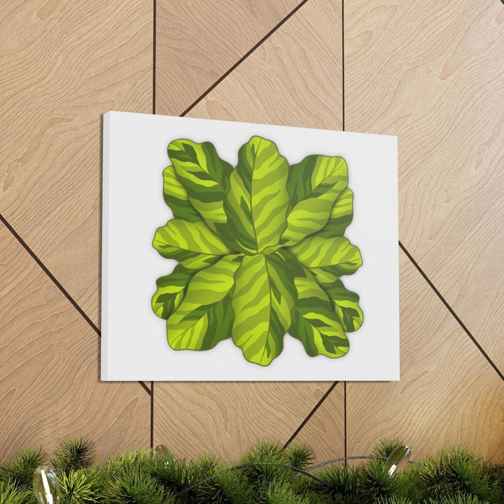 Calathea Yellow Fusion Canvas – Botanical Canvas Print With Unique Leaf Pattern Art - Laura Christine Photography & Design