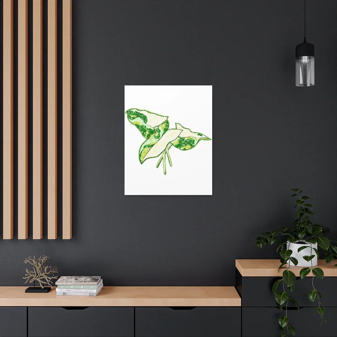 Marble Syngonium Canvas - Botanical Canvas Art Print | Durable Cotton Matte Finish - Laura Christine Photography & Design