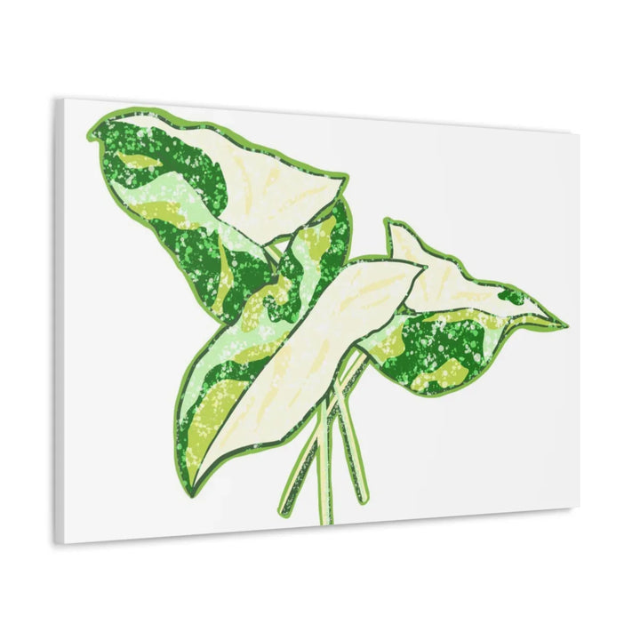 Marble Syngonium Canvas - Botanical Canvas Art Print | Durable Cotton Matte Finish - Laura Christine Photography & Design