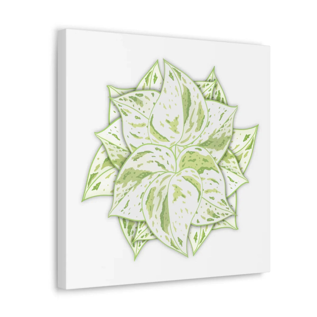 Snow Queen Pothos Canvas – Variegated Leaf Canvas Art Print | Durable Cotton - Laura Christine Photography & Design