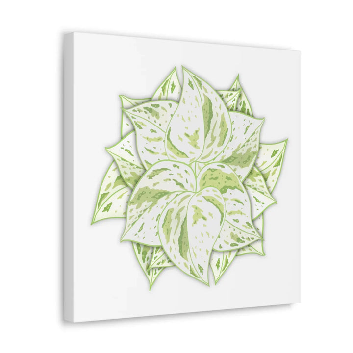 Snow Queen Pothos Canvas – Variegated Leaf Canvas Art Print | Durable Cotton - Laura Christine Photography & Design