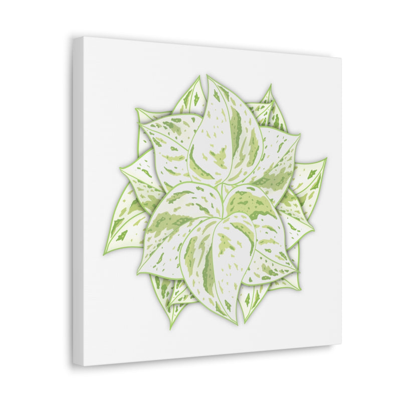 Snow Queen Pothos Canvas