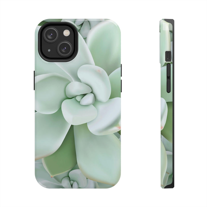 Pachyveria Haagei Succulent Phone Case, Phone Case, Printify, Accessories, Glossy, iPhone Cases, Matte, Phone accessory, Phone Cases, Samsung Cases, Laura Christine Photography & Design, laurachristinedesign.com