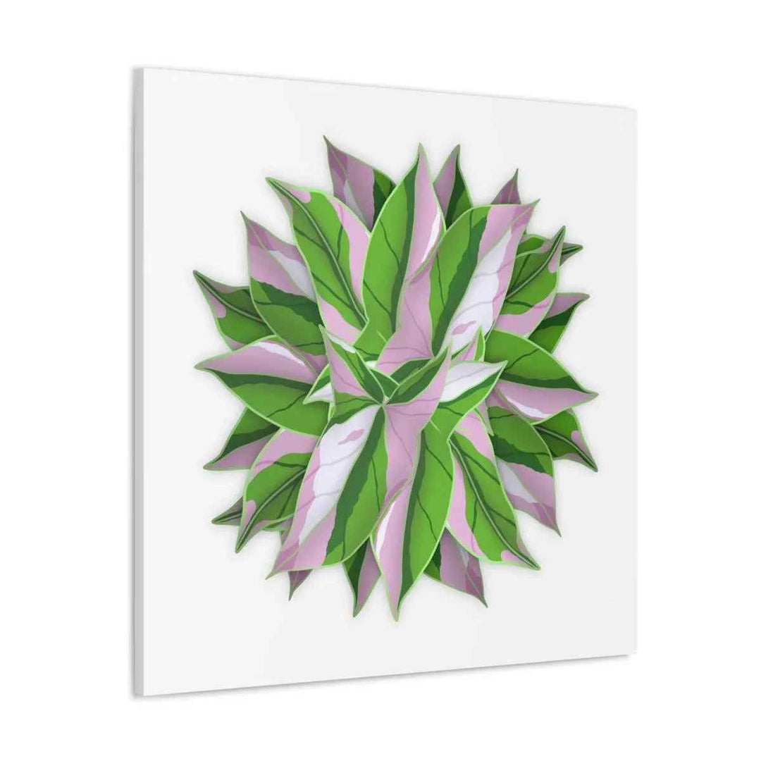 Tricolor Syngonium Canvas - Durable Canvas Art Print With Matte Finish & Botanical Design