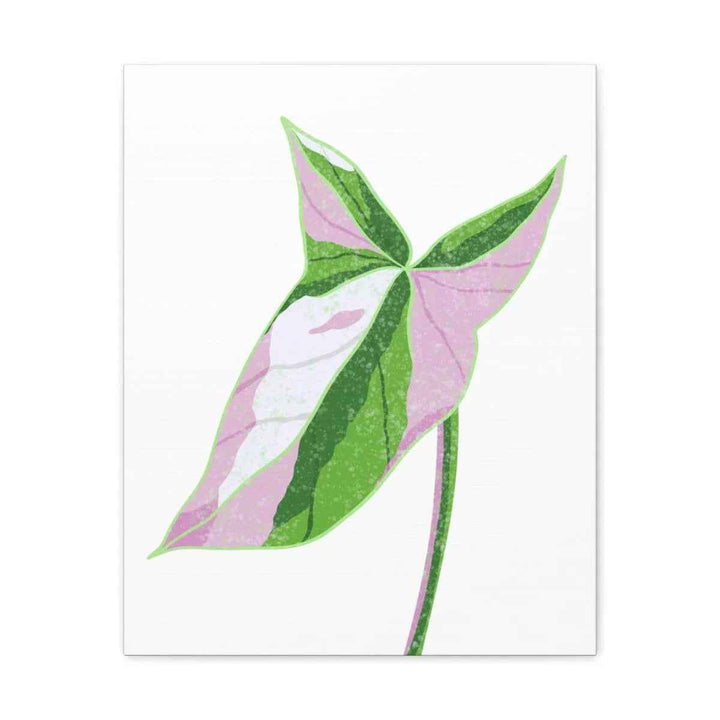 Syngonium Tricolor Canvas | Botanical Canvas Art Print With Matte Finish