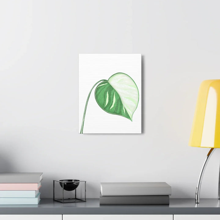 Monstera Albo Canvas | Large Tropical Leaf Artwork - Matte Finish Canvas Art Print - Laura Christine Photography & Design