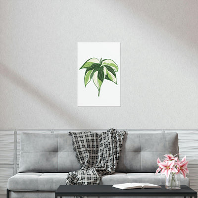 Philodendron 'Cream Splash' Print, Poster, Printify, Back to School, Home & Living, Indoor, Matte, Paper, Posters, Valentine's Day promotion, Laura Christine Photography & Design, laurachristinedesign.com