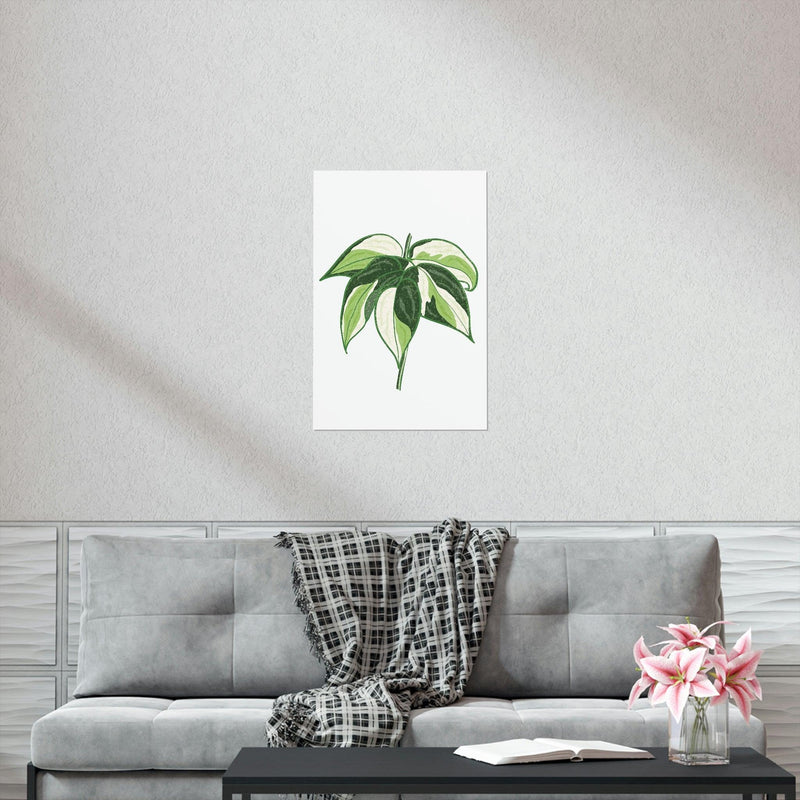 Philodendron &