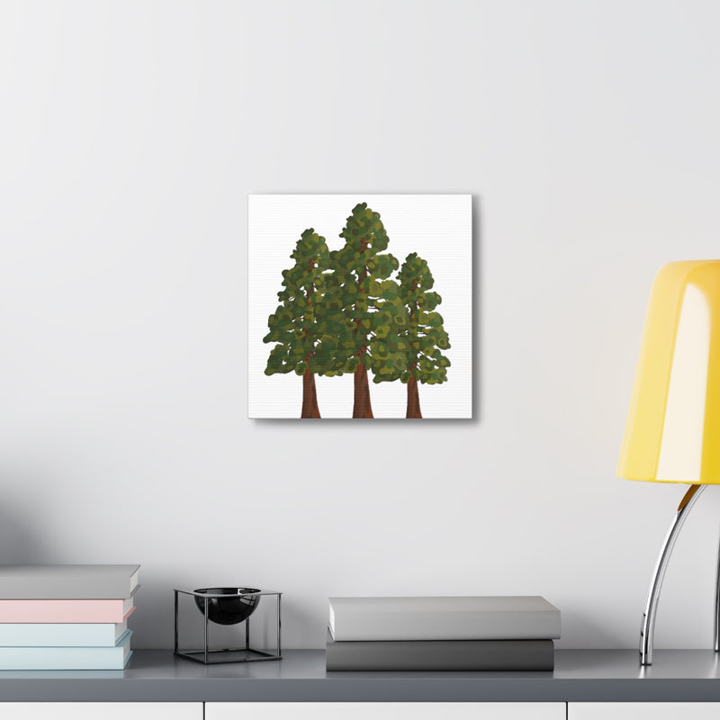 Coastal Redwoods Canvas