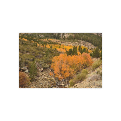 Autumn Leaves outside Yosemite - Photo Poster, Poster, Printify, Art & Wall Decor, Home & Living, Paper, Poster, Posters, Laura Christine Photography & Design, laurachristinedesign.com