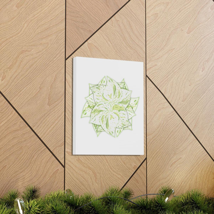 Snow Queen Pothos Canvas – Variegated Leaf Canvas Art Print | Durable Cotton - Laura Christine Photography & Design