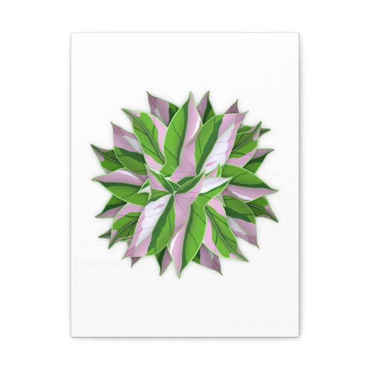 Tricolor Syngonium Canvas - Durable Canvas Art Print With Matte Finish & Botanical Design - Laura Christine Photography & Design