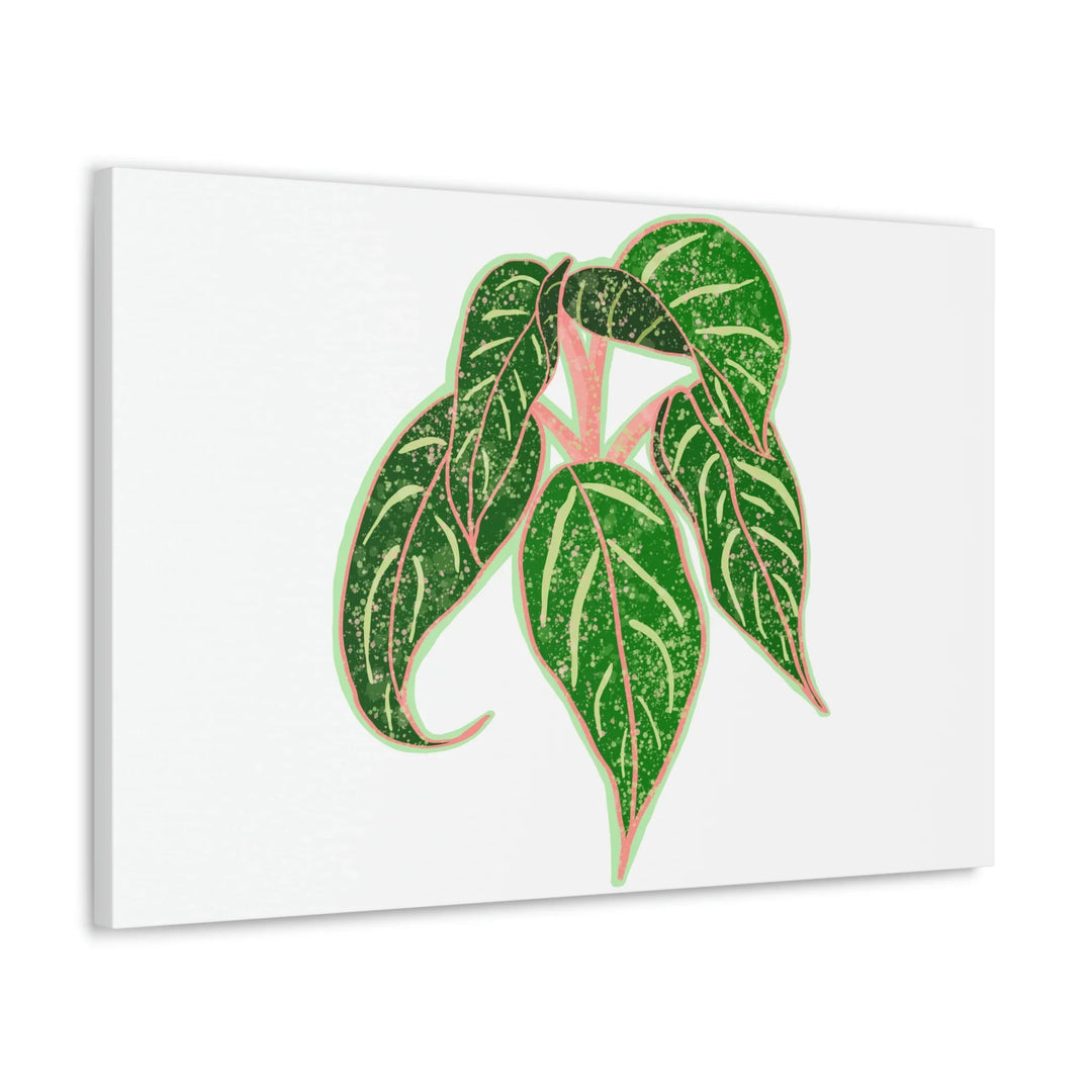 Aglaonema Plant Canvas | Sparkling Plant Artwork - Colorfast Canvas Art Print Decor