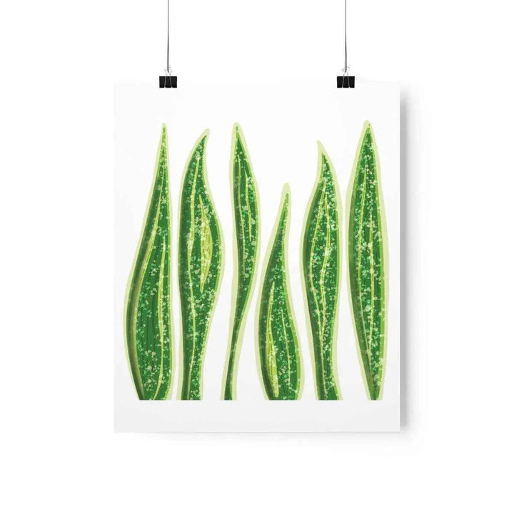 Snake Plant Print – Large Botanical Wall Art Poster | Matte Finish | Unframed