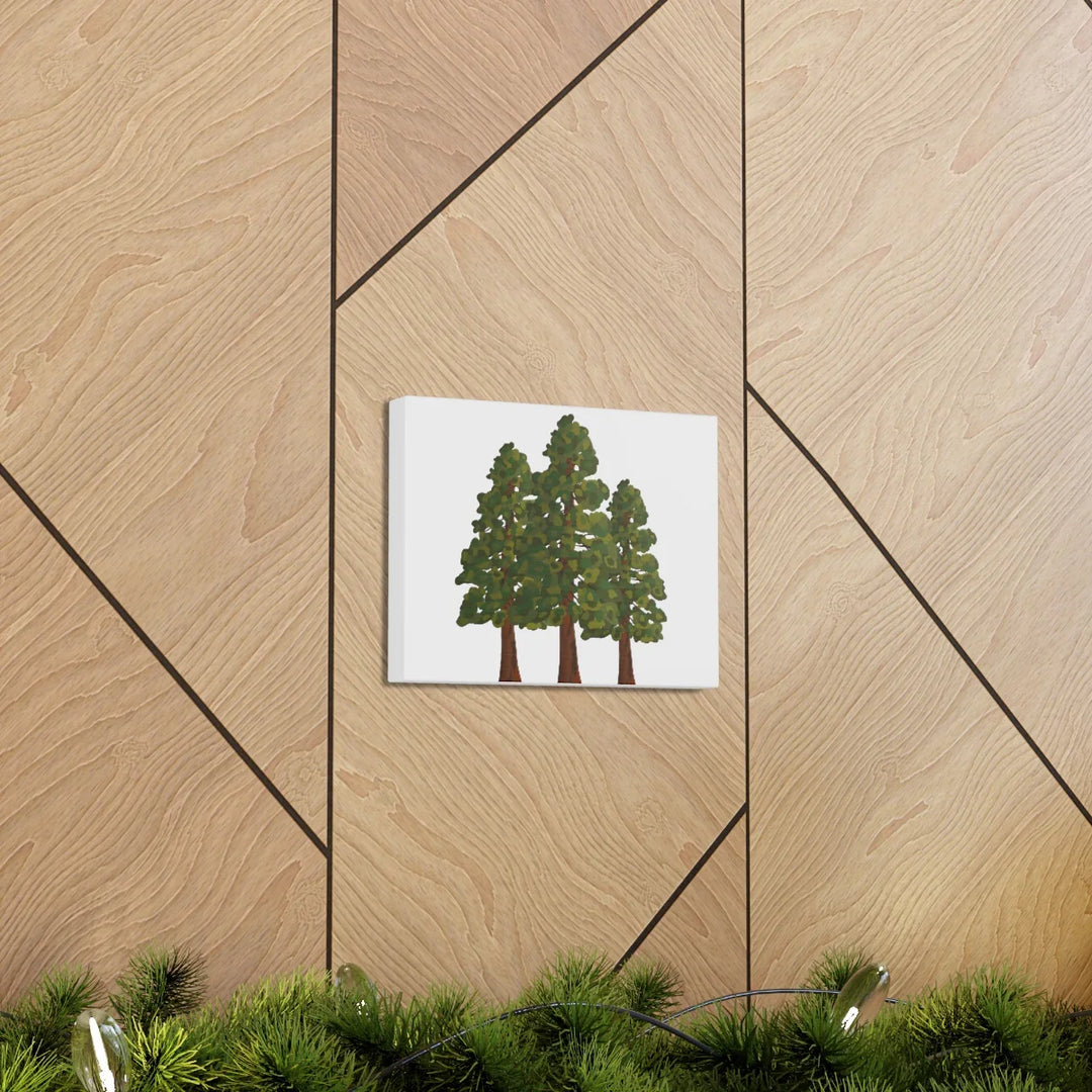 Coastal Redwoods Canvas - Stretched Cotton Canvas Art Print | Matte Finish Wall Hanging Artwork