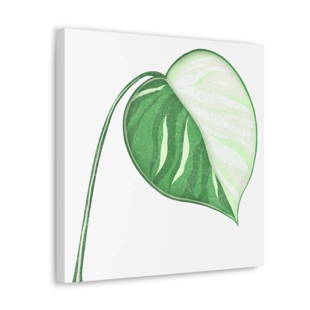 Monstera Albo Canvas | Large Tropical Leaf Artwork - Matte Finish Canvas Art Print - Laura Christine Photography & Design