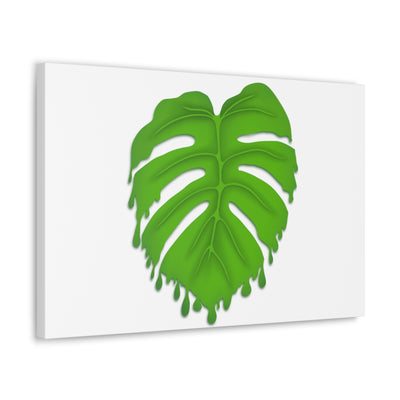 Melting Monstera Canvas