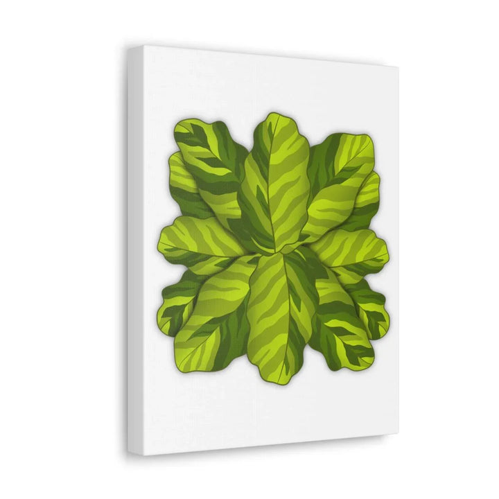 Calathea Yellow Fusion Canvas – Botanical Canvas Print With Unique Leaf Pattern Art - Laura Christine Photography & Design