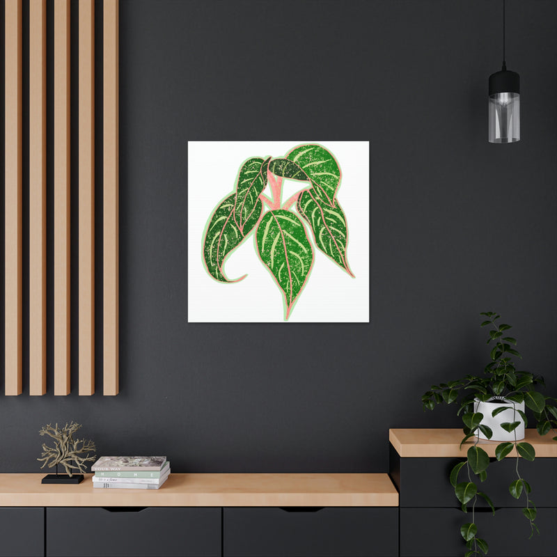 Aglaonema Sparkling Sarah Plant Canvas