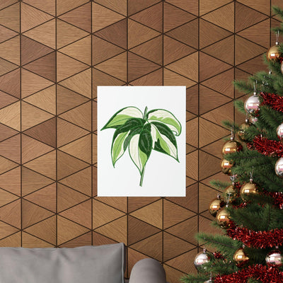 Philodendron 'Cream Splash' Print, Poster, Printify, Back to School, Home & Living, Indoor, Matte, Paper, Posters, Valentine's Day promotion, Laura Christine Photography & Design, laurachristinedesign.com